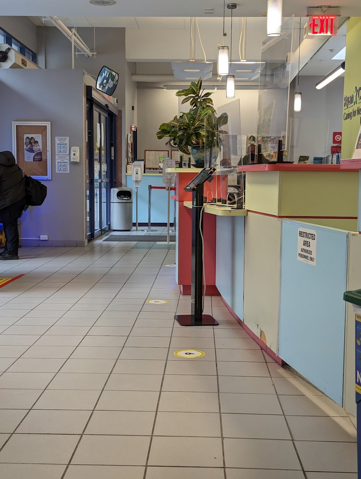 Ryan Chelsea-Clinton photo 4