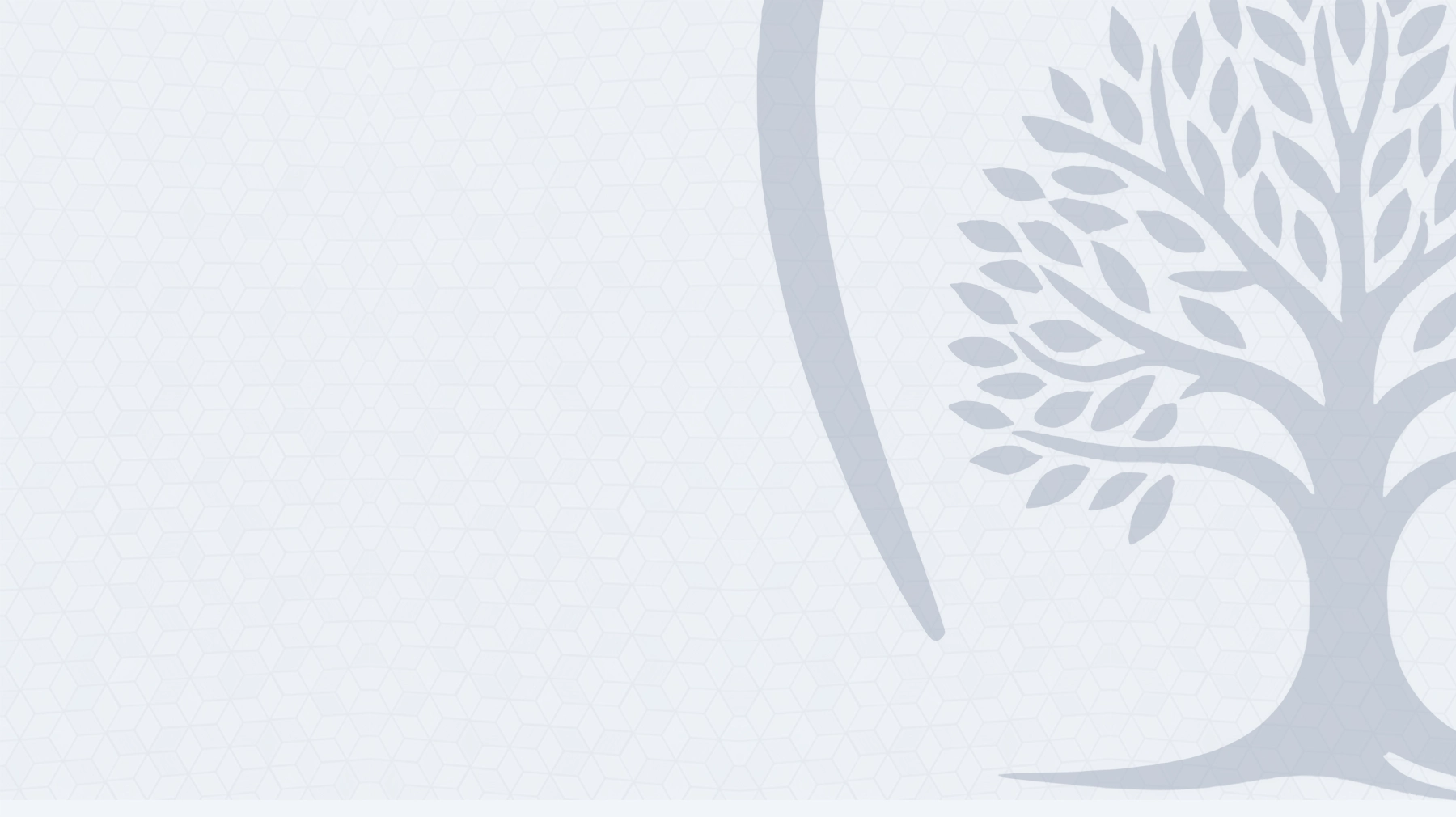 Somerset Smiles photo 1