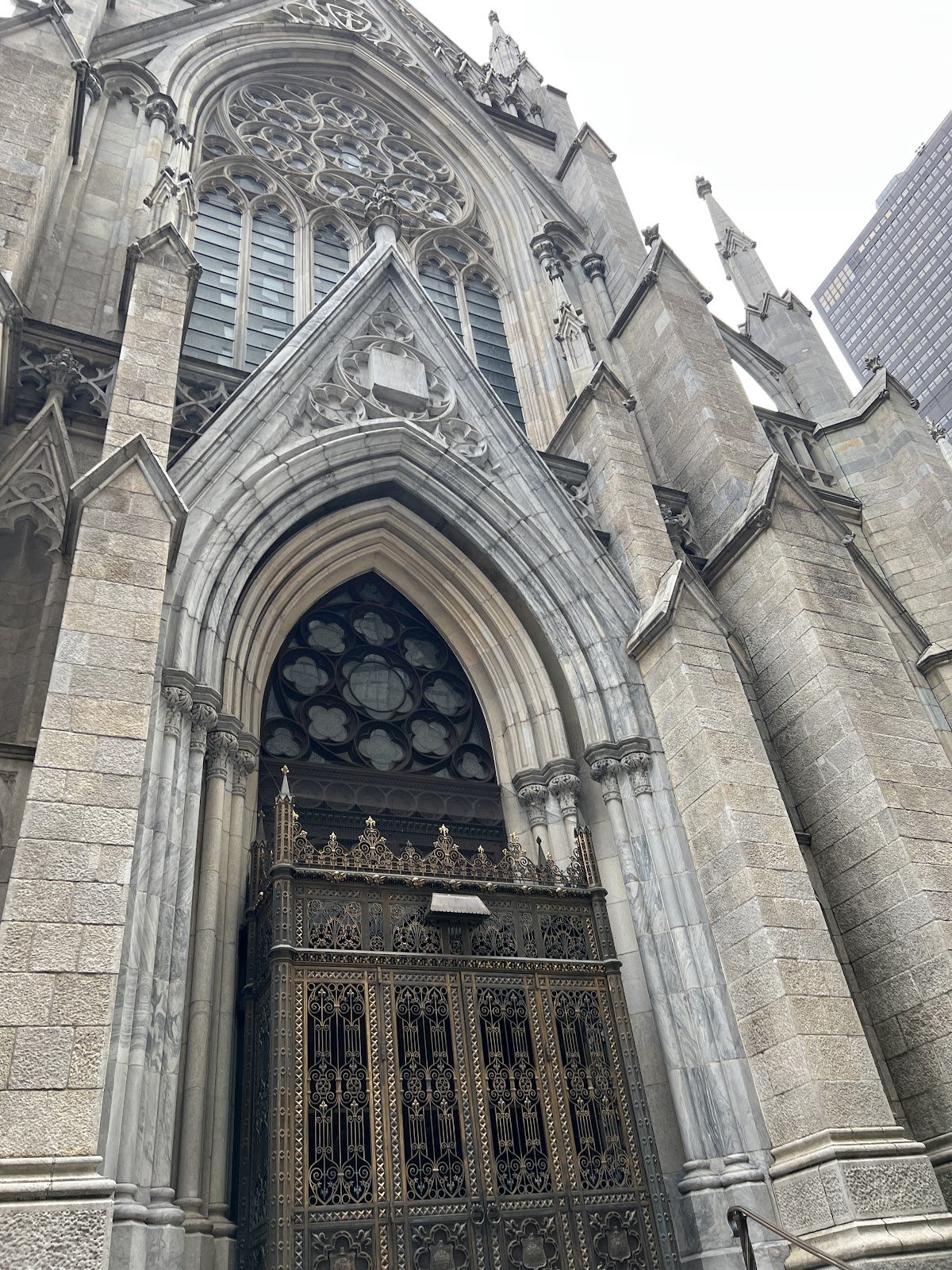 Stella K. Oh, DDS photo 5