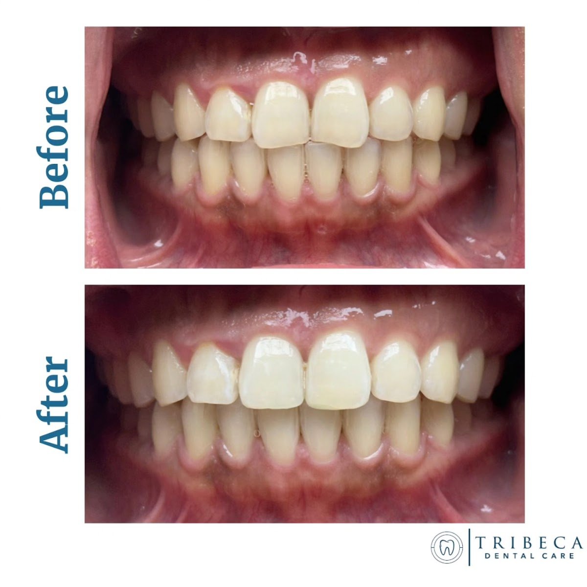 Tribeca Dental Care photo 2
