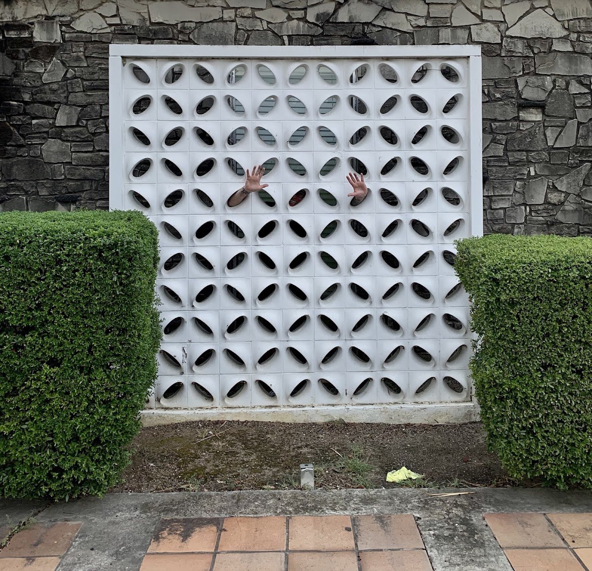 24th Street Dental Care photo 4