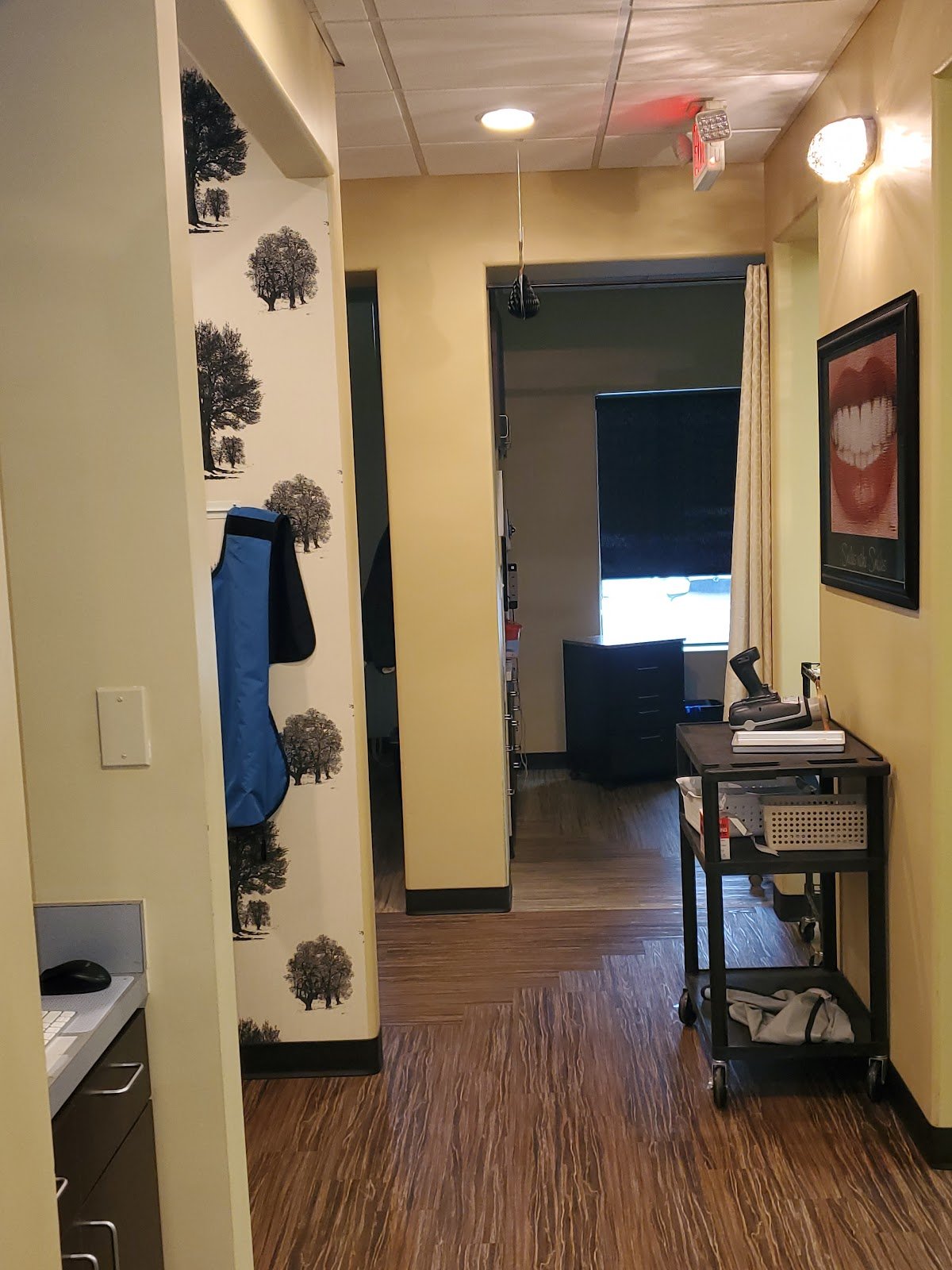 Alamo Ranch Dental photo 3