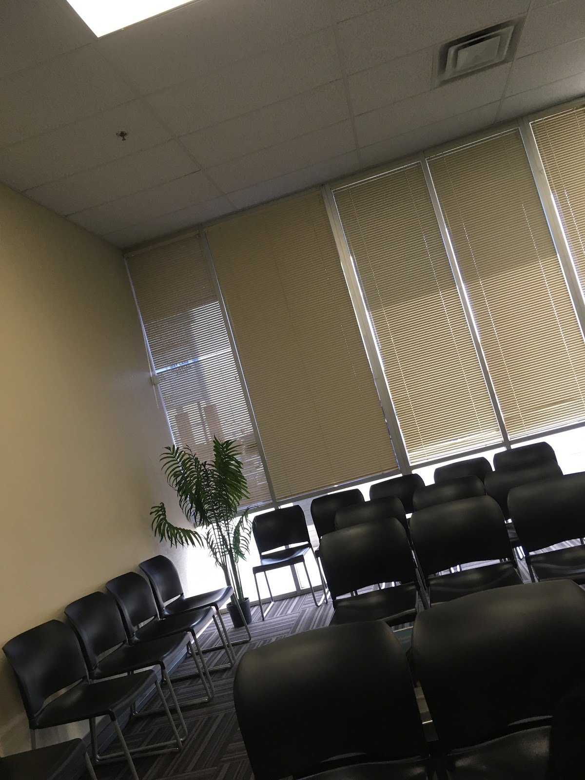 Celebrate Dental-Orthodontics photo 4