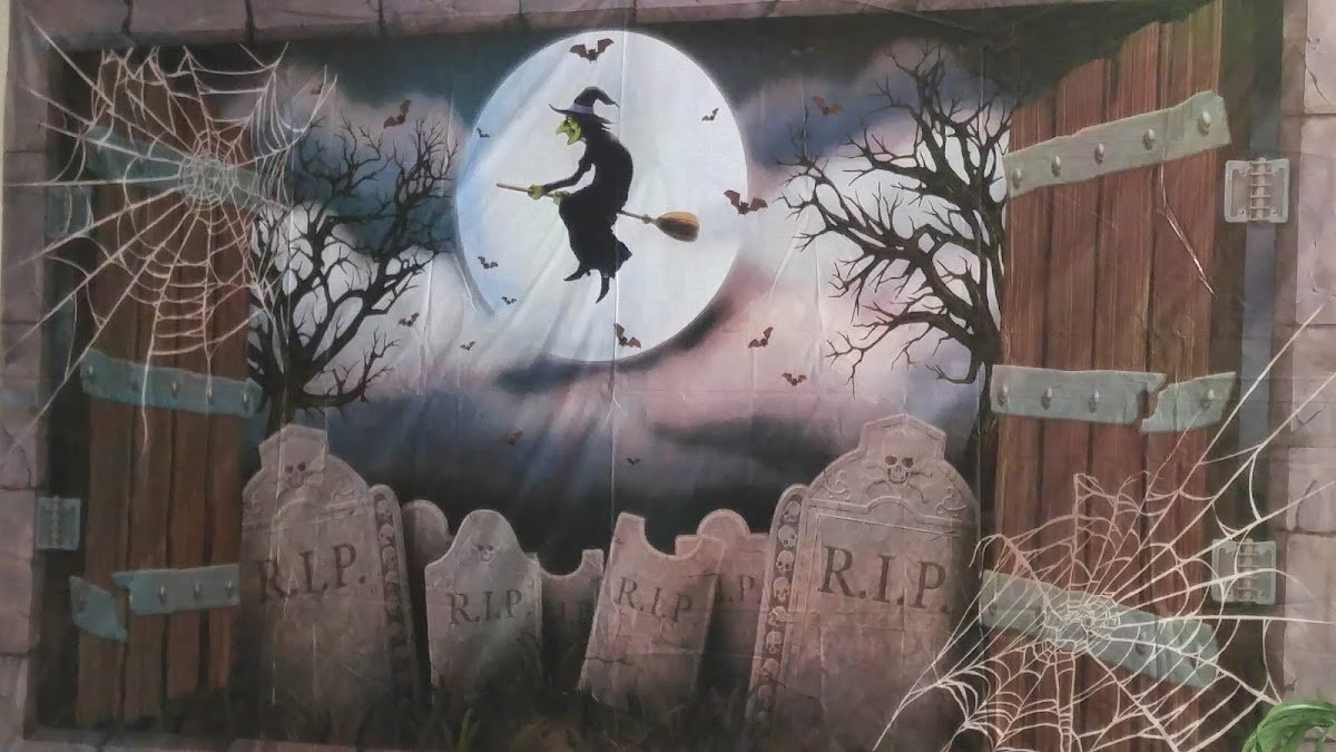 Celebrate Dental-Orthodontics photo 5