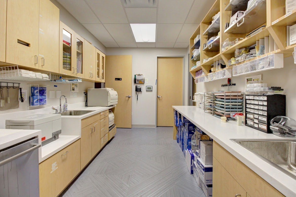 Daniela Dental photo 5