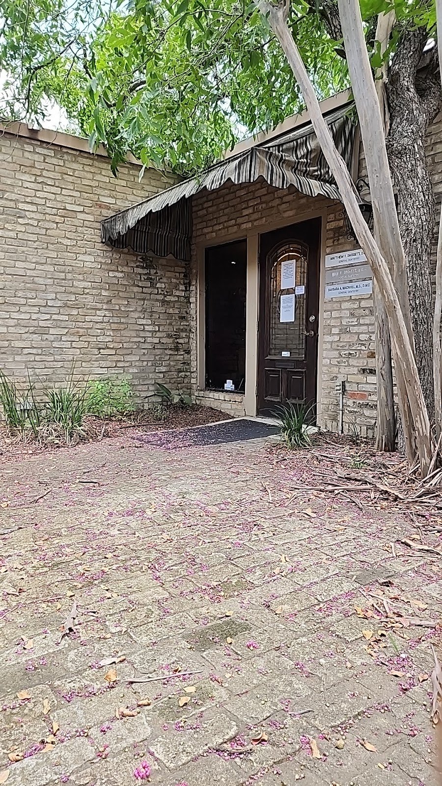 Dr. Matthew F. Daggett, DDS photo 3