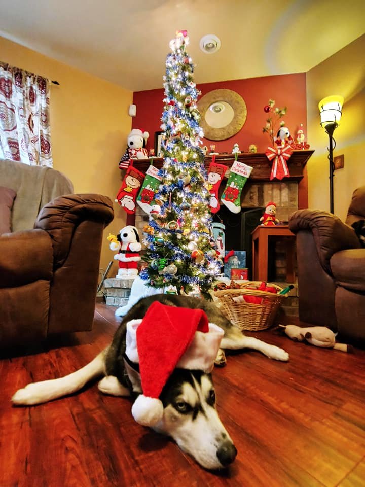 Dr. Matthew F. Daggett, DDS photo 4