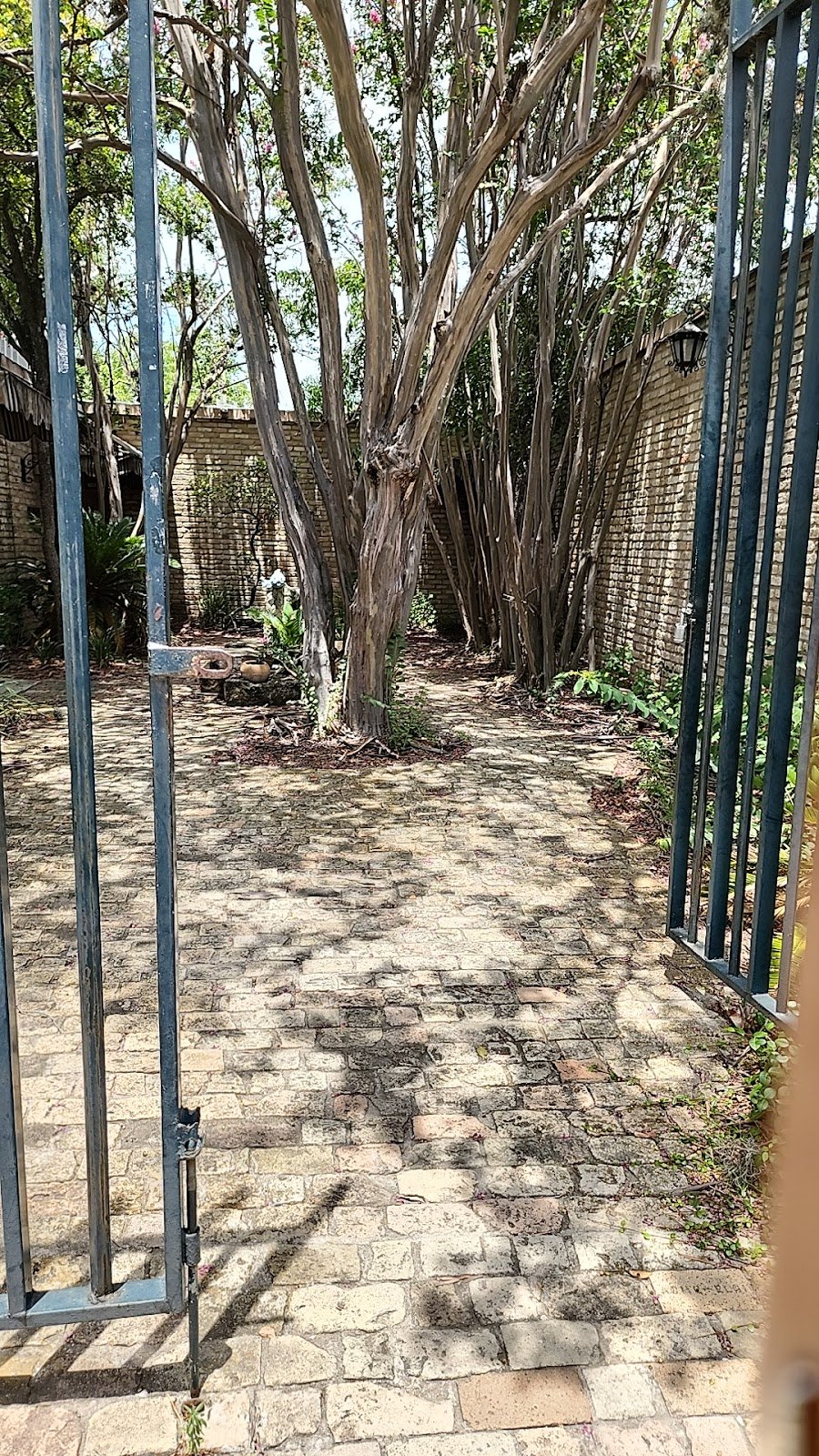 Dr. Matthew F. Daggett, DDS photo 5