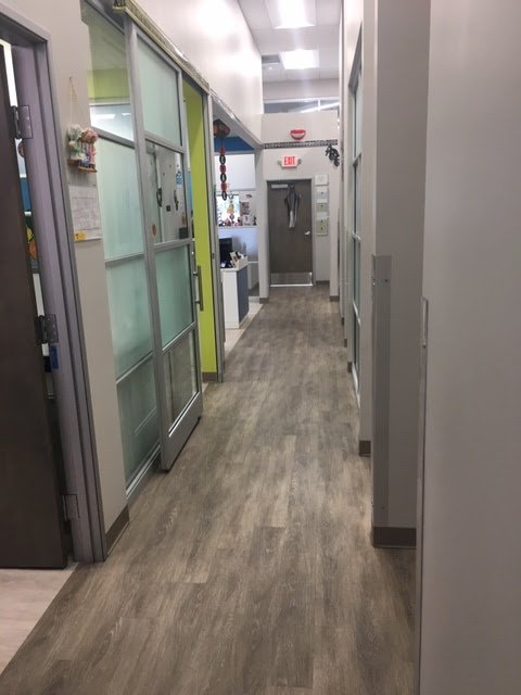 Kids Smile Pediatric Dentistry: Dr. Mauricio Marcushamer, DDS photo 4