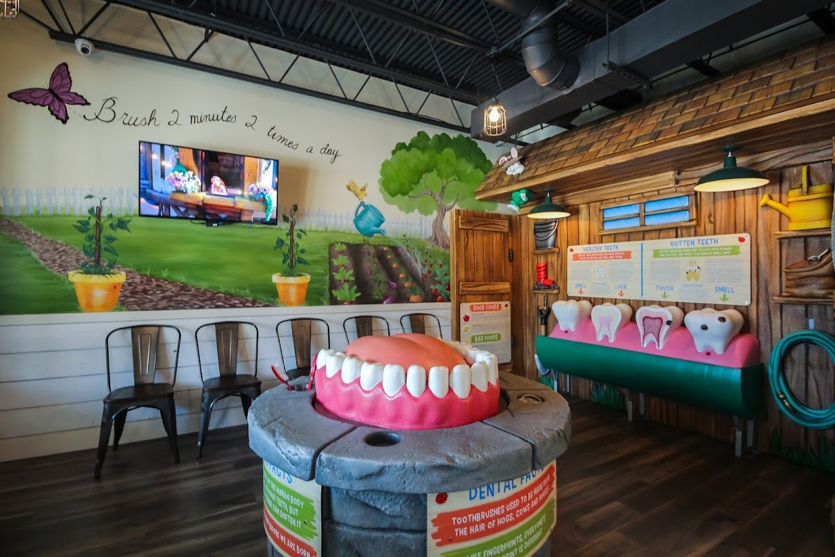 Sunshine Pediatric Dentistry & Orthodontics photo 3