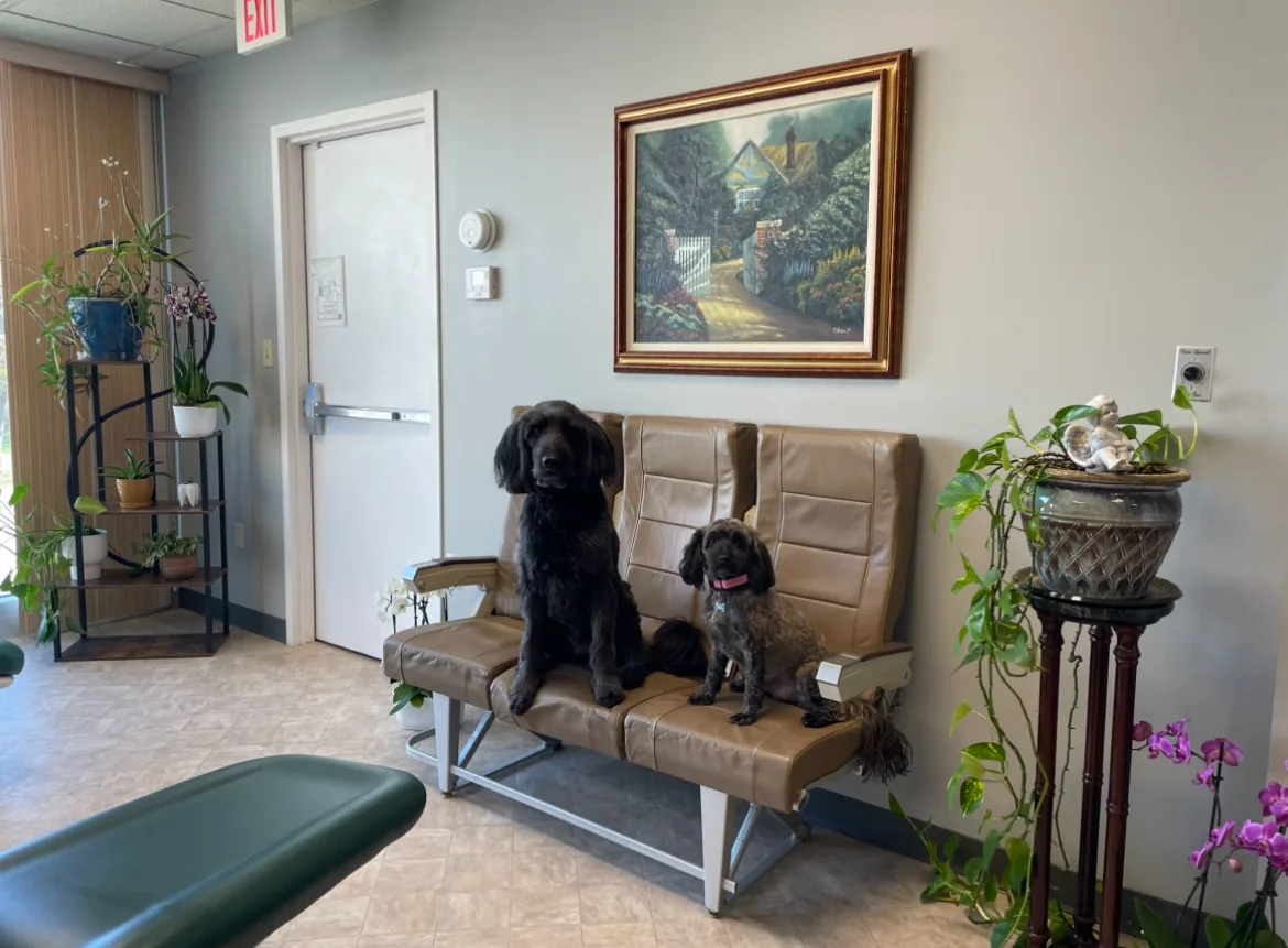 Abay Orthodontics photo 4
