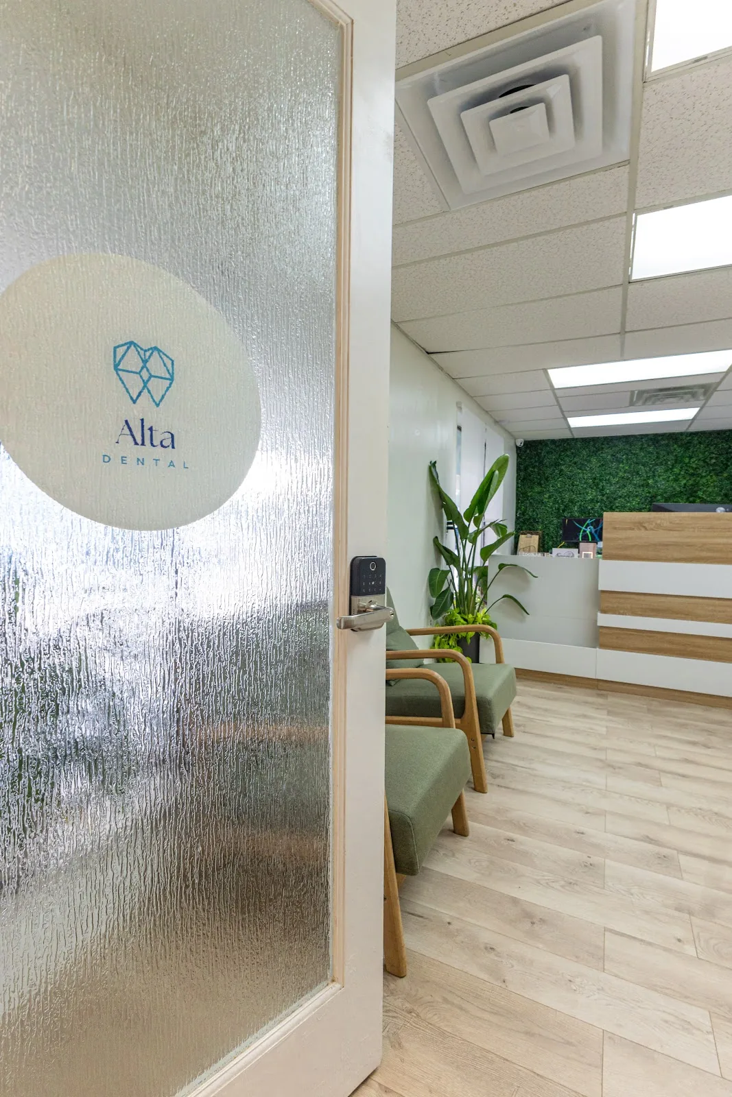 Alta Dental photo 3