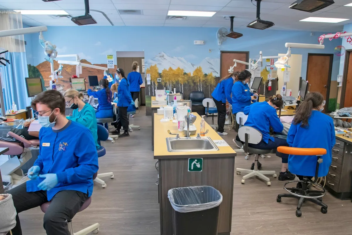 Academy Kids Dental, Vision & Orthodontics photo 5