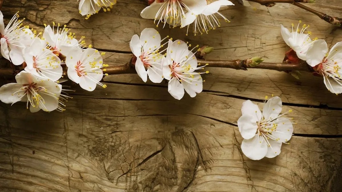 Aspen Leaf Holistic Mental Health photo 2