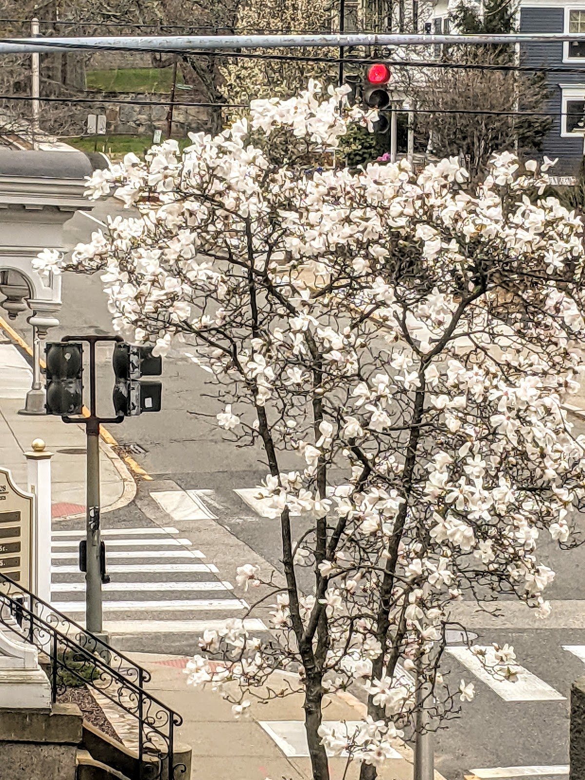 Angell Street Dental Associates photo 5