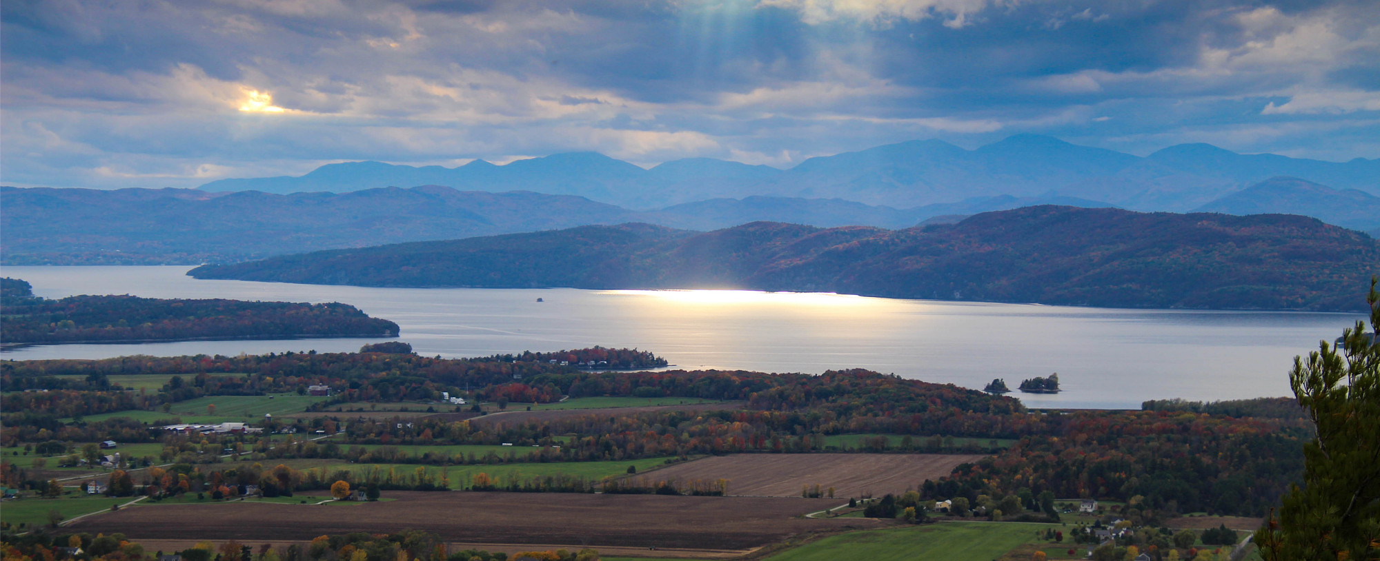 Timberlane Dental Group photo 1