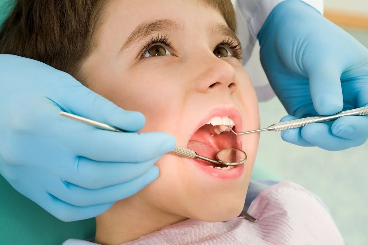 Melbourne Dentist Clinic photo 4