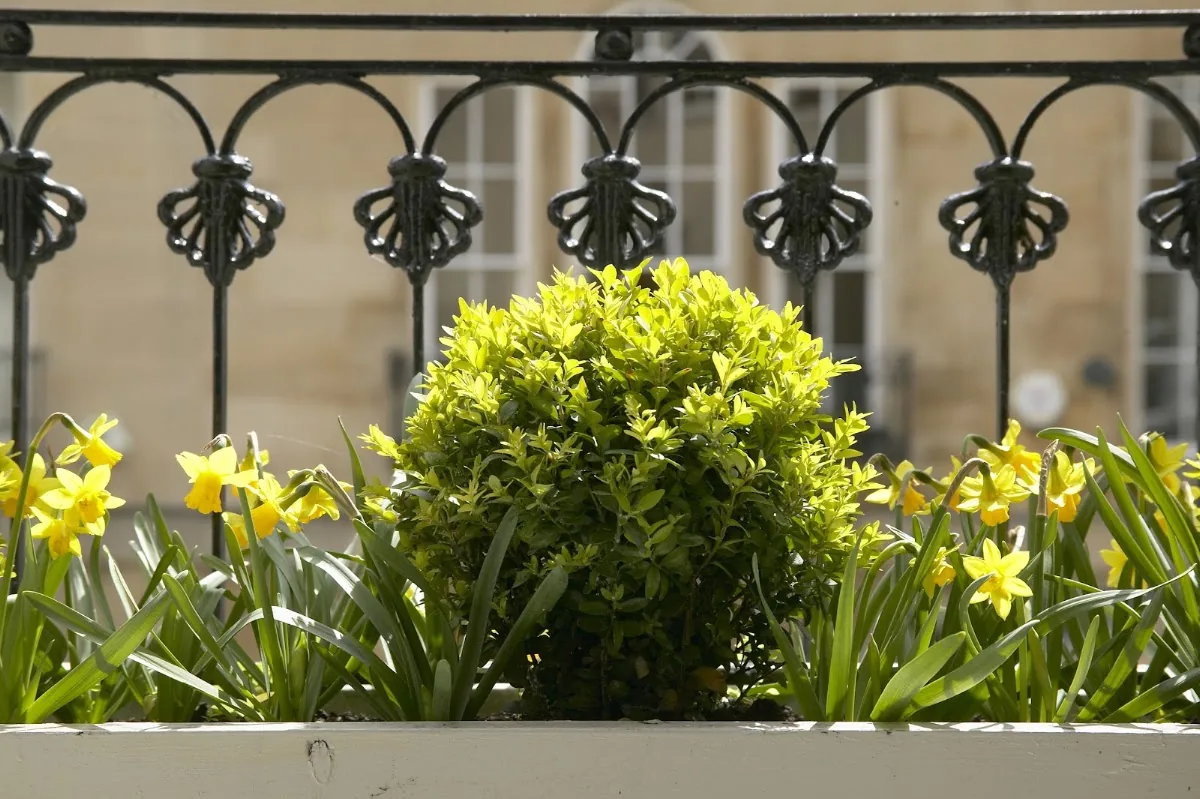 Bath Dental Excellence photo 3