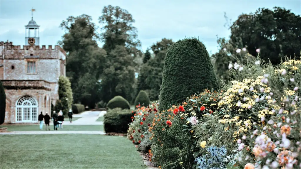 Berkeley House Dental Practice photo 1