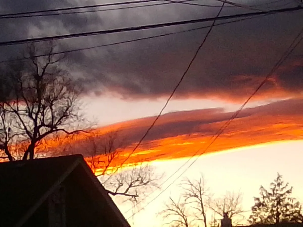 Comfort Dental photo 6