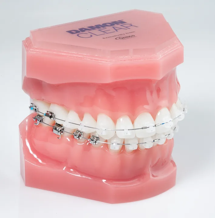 The Park Dental Clinic photo 3