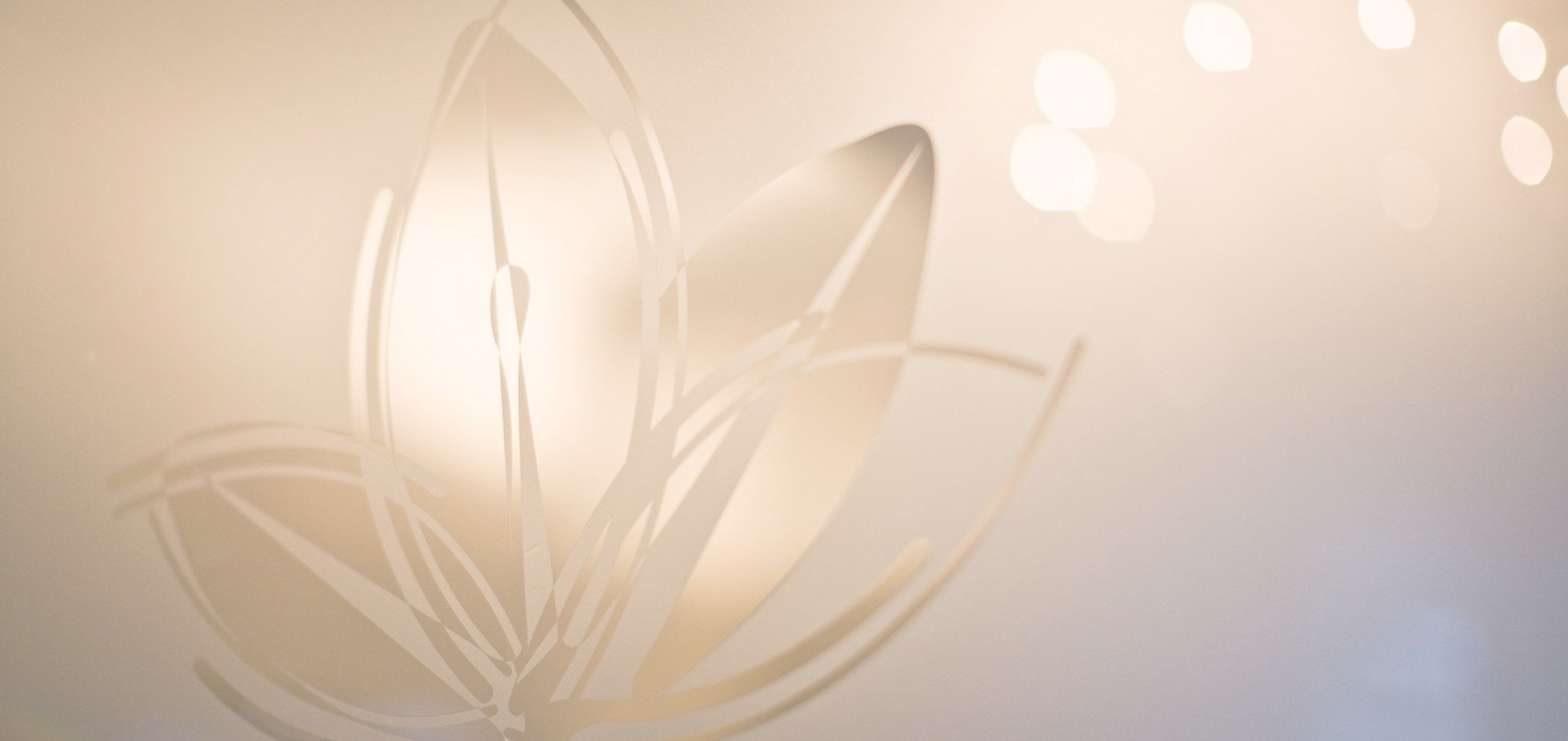 York Place Dental photo 1