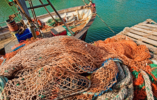 Harbour Dental Care Ltd photo 1