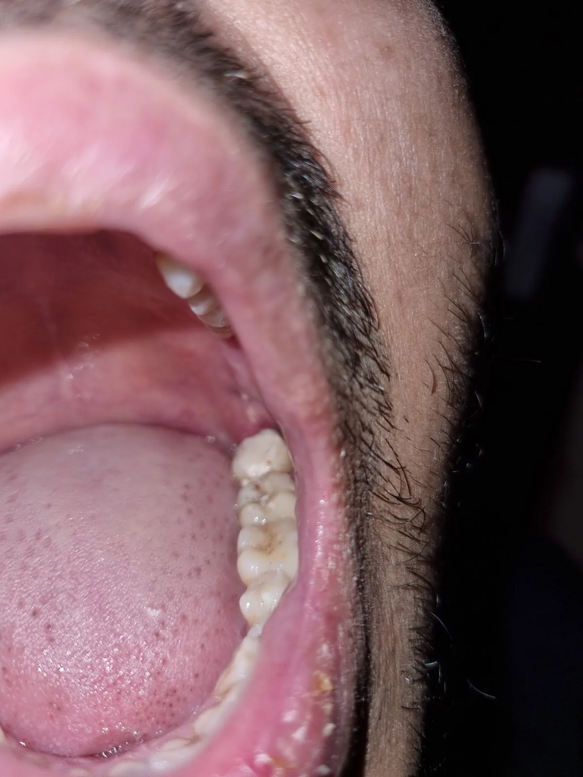The Apple Dental Practice photo 2