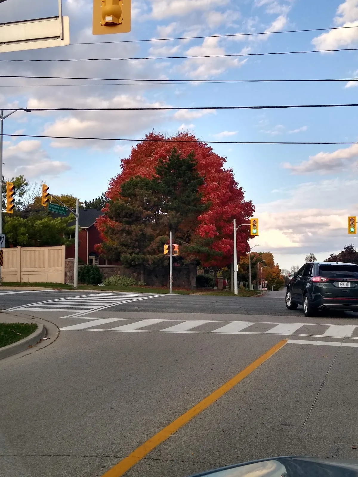 Top 10 Dental Clinics in Hamilton Ontario