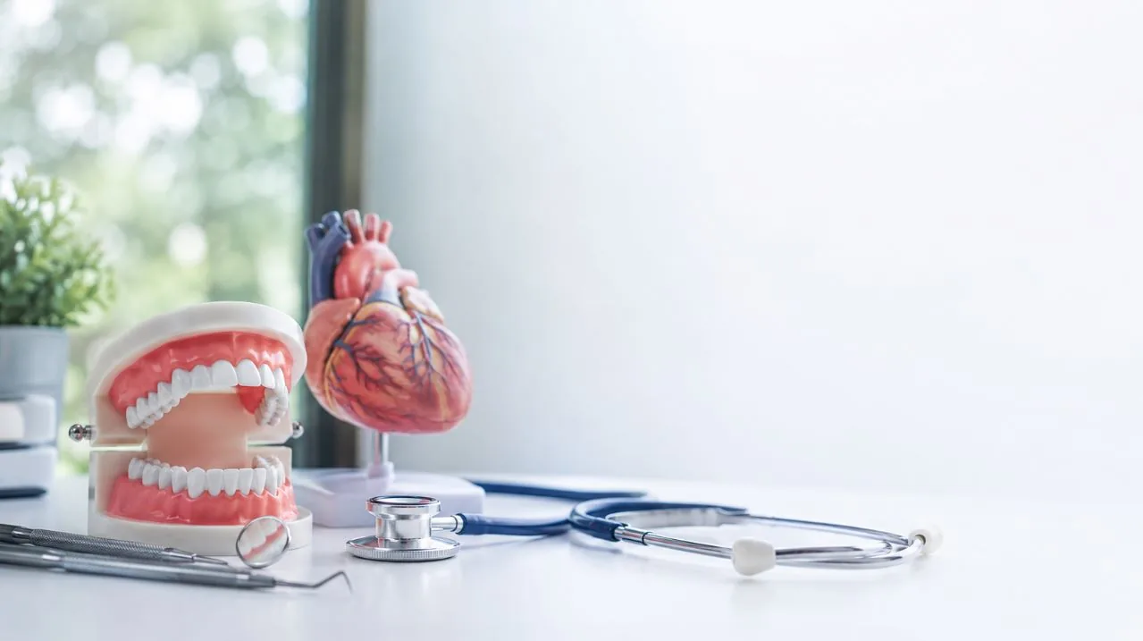 Gum Disease and Heart Disease: What the Evidence Actually Shows