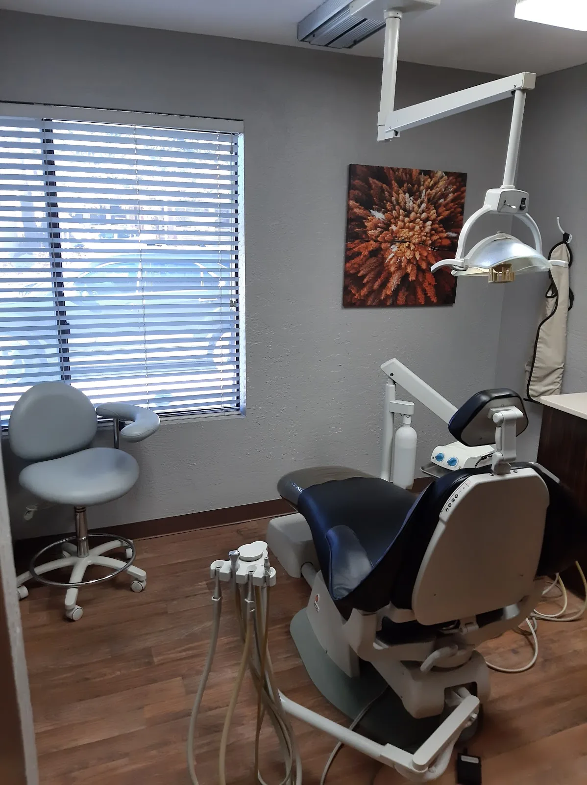 Timberline Dental photo 3