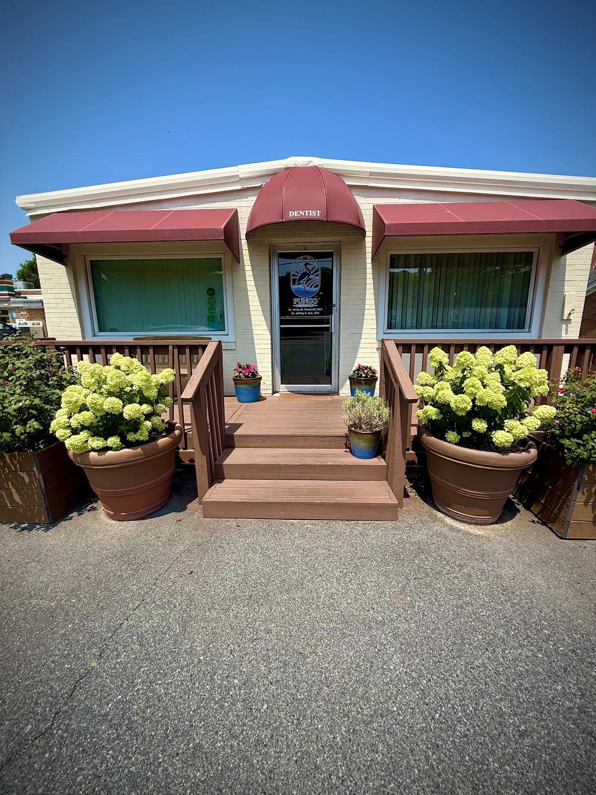 Pungo Dentistry
