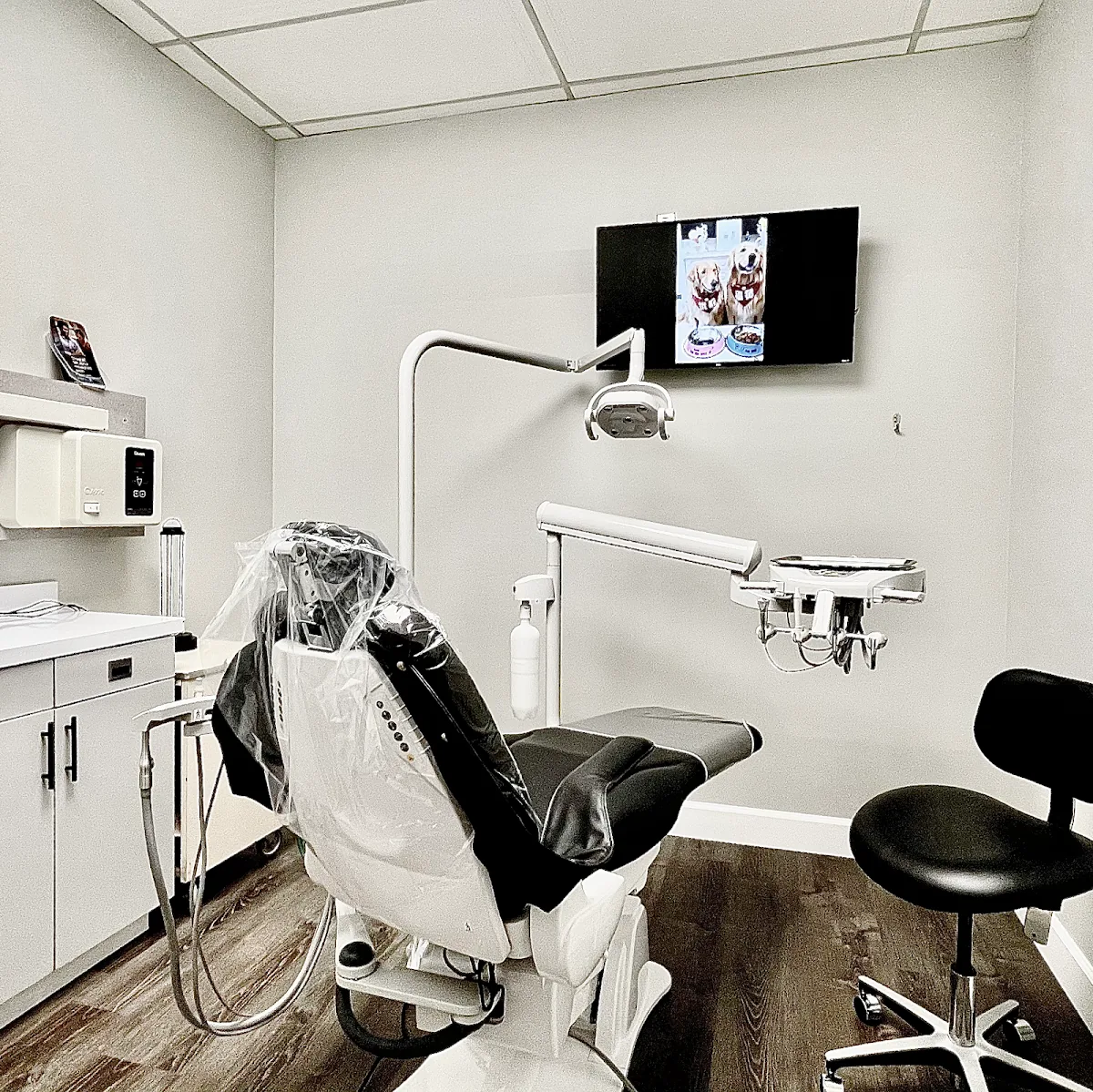 Best Dentistry Seattle photo 3
