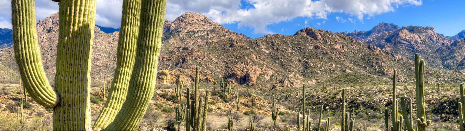 Tucson Biological Dentistry