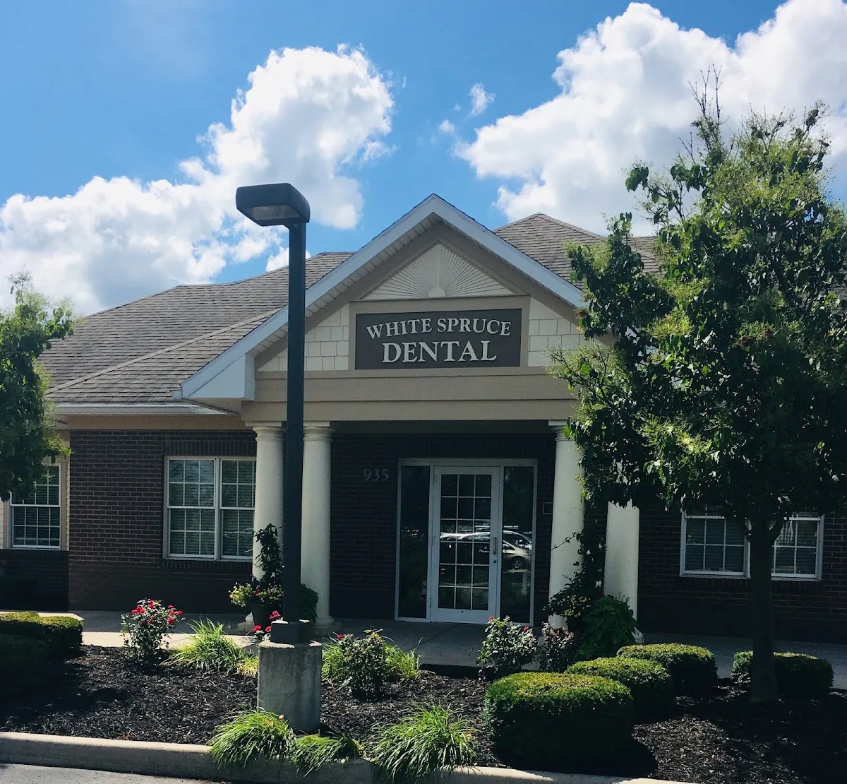 White Spruce Dental photo 3