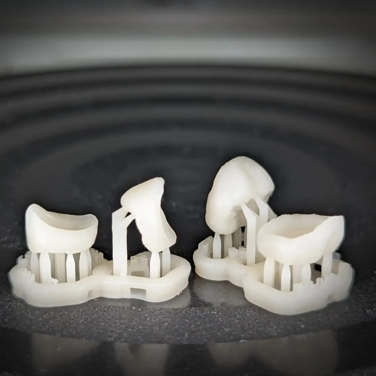 Kaizen Dental Center photo 4
