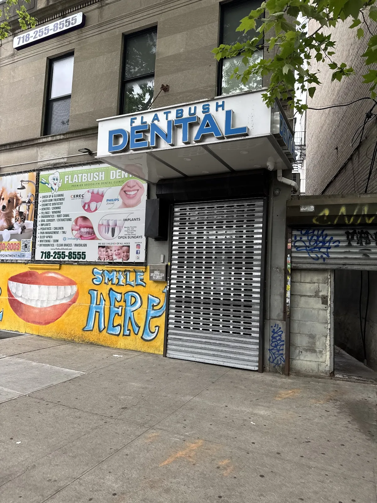 Flatbush Dental photo 2
