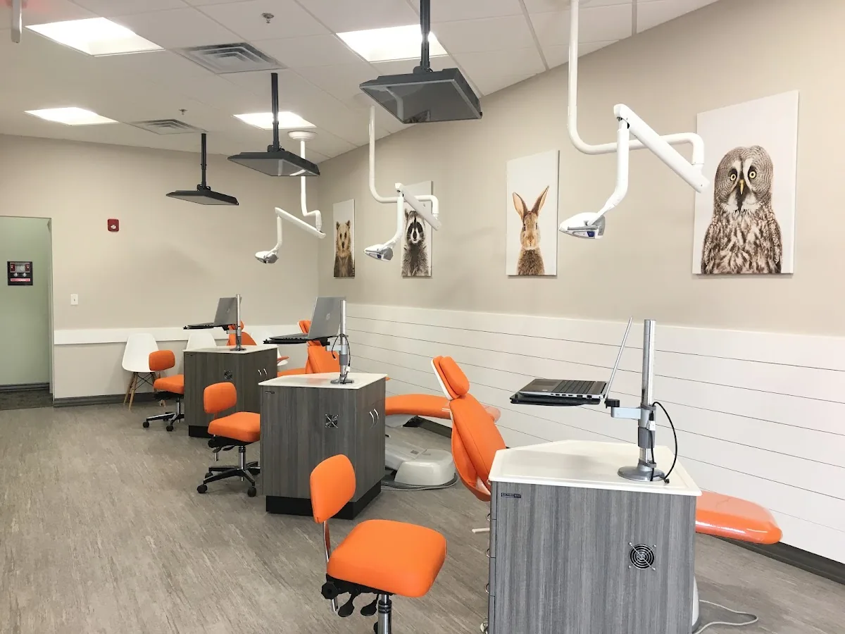 Smiles & Co. Pediatric Dentistry photo 2