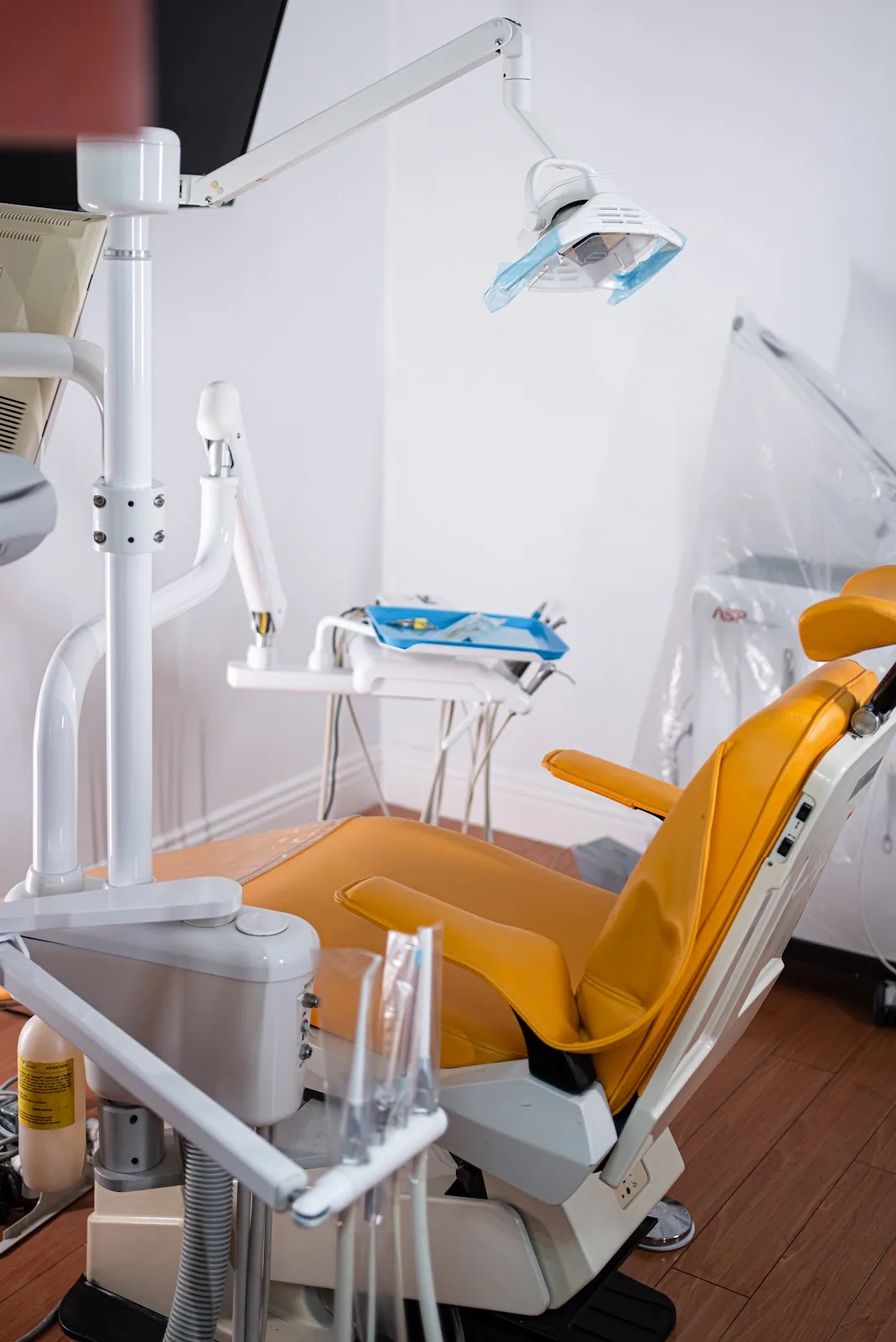 Holistic Dental Wellness of Los Angeles - Dr. Emma Abramyan photo 3