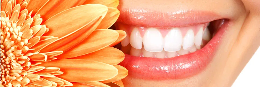 Greenway Airpark Family Dentistry
