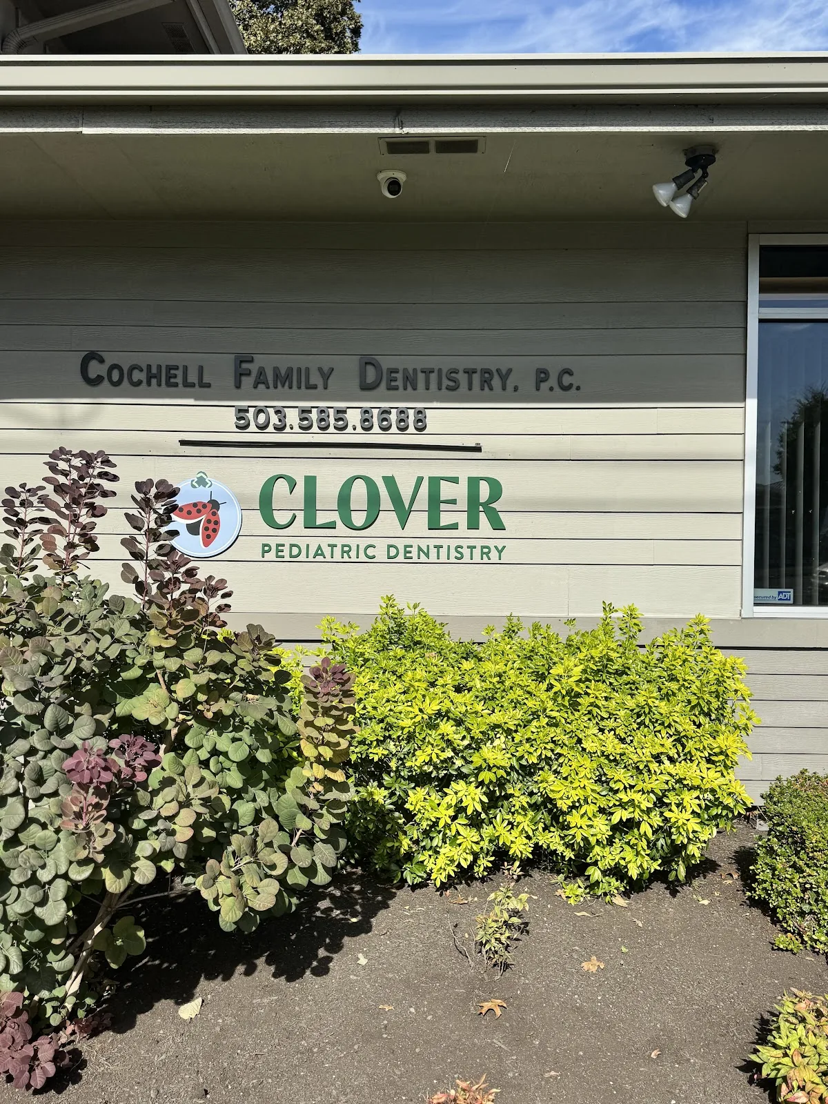 Clover Pediatric Dentistry photo 2