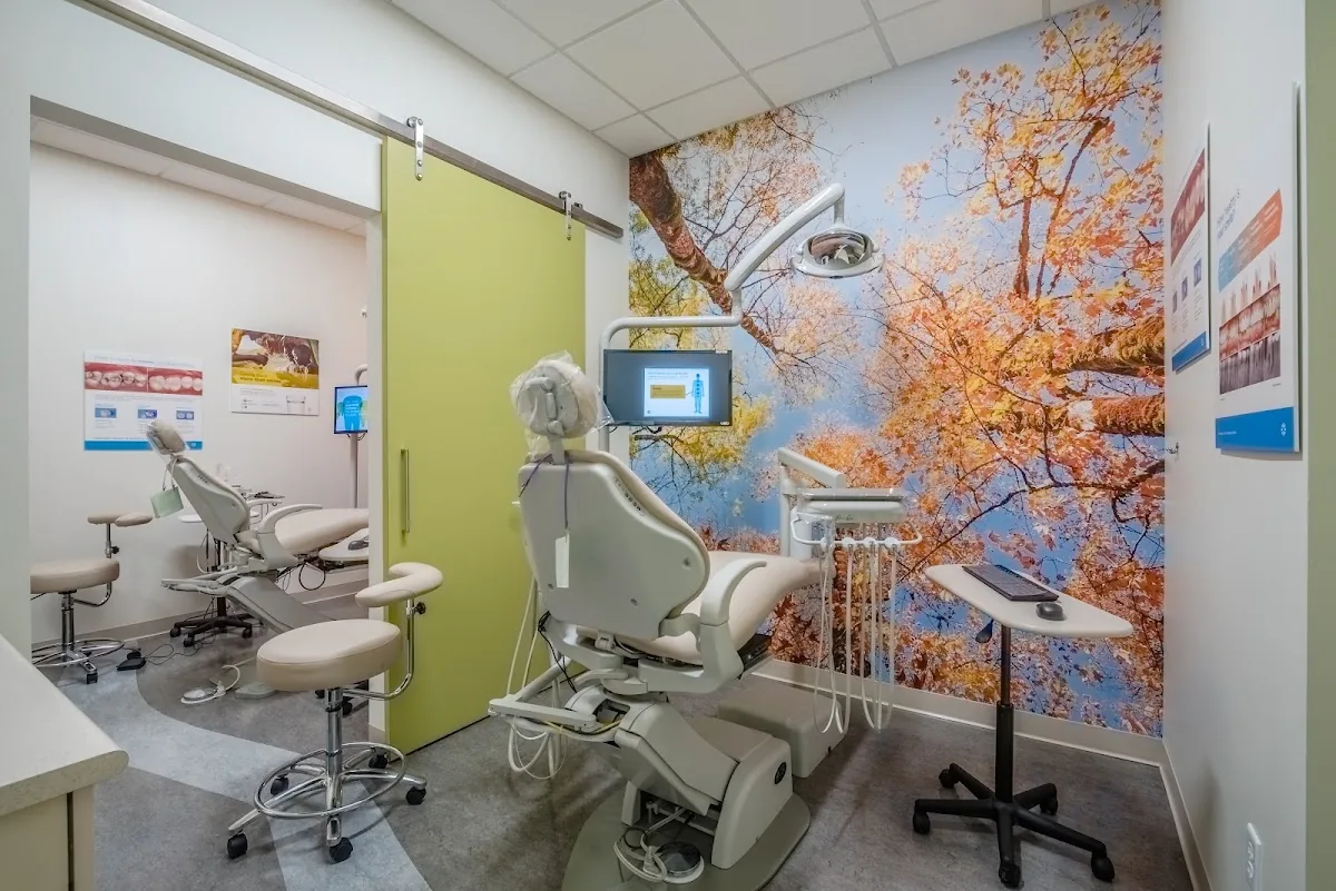 Northeast Dallas Dentistry photo 3