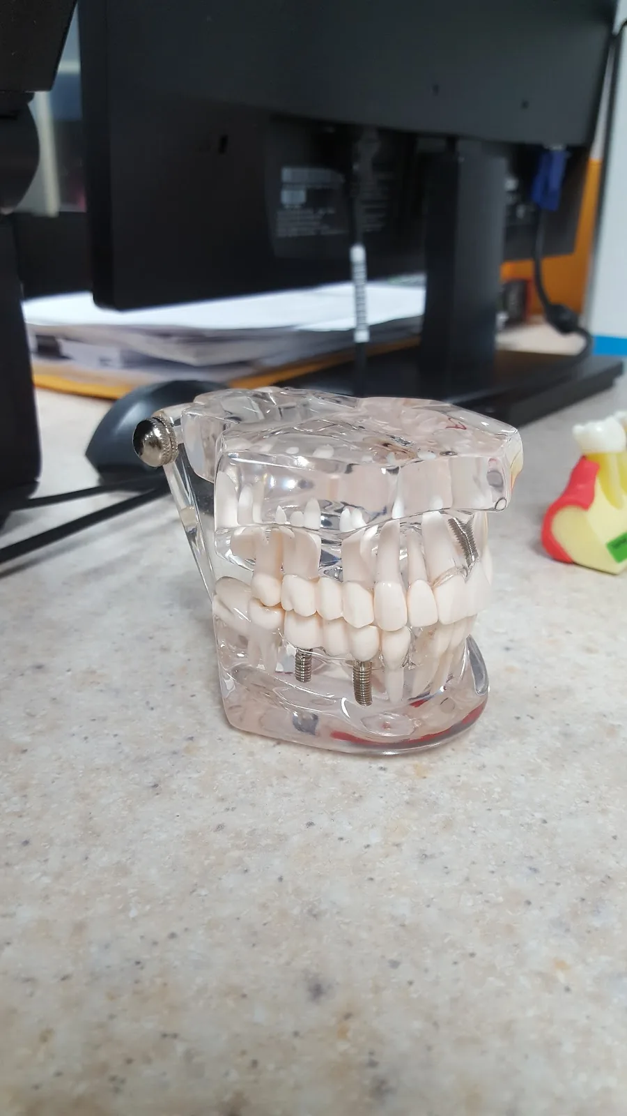 First Family Dental photo 3