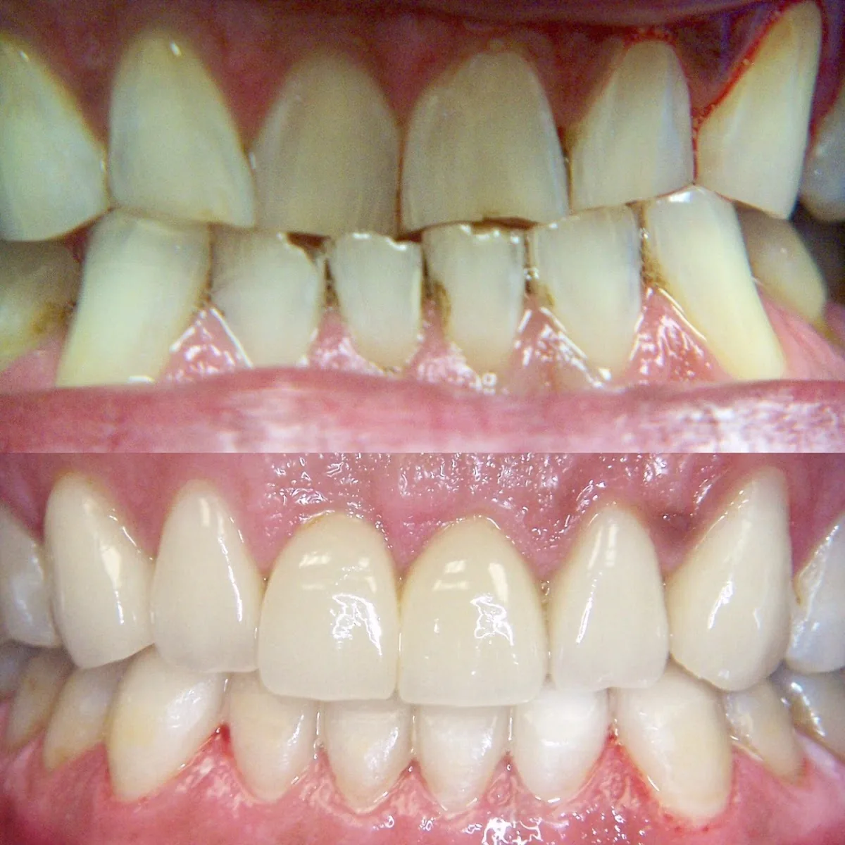 Pennsylvania Dental Group Ltd photo 2