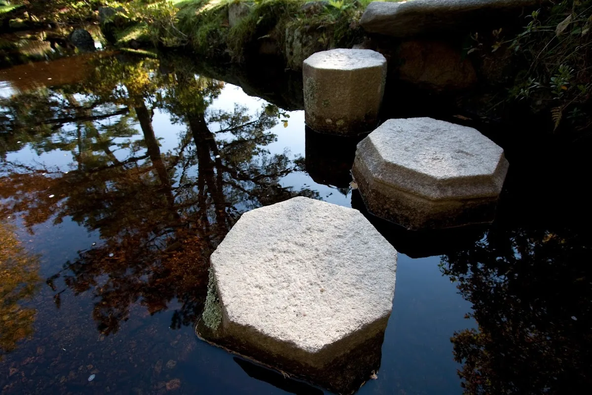 Wichita Holistic Inc photo 3