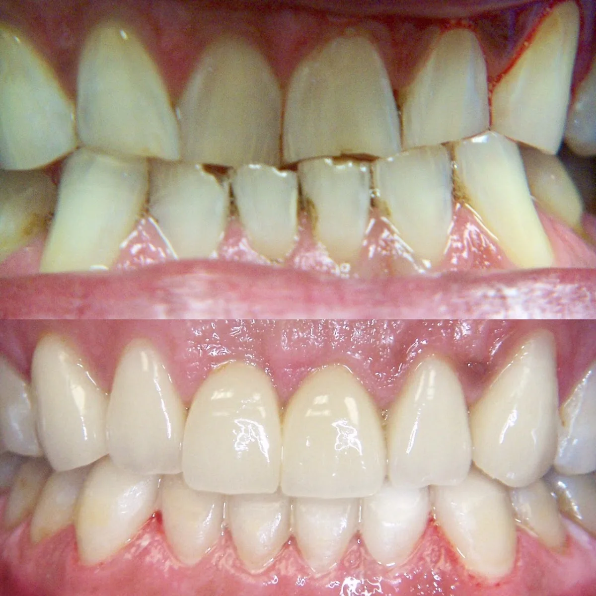 Pennsylvania Dental Group Ltd photo 2