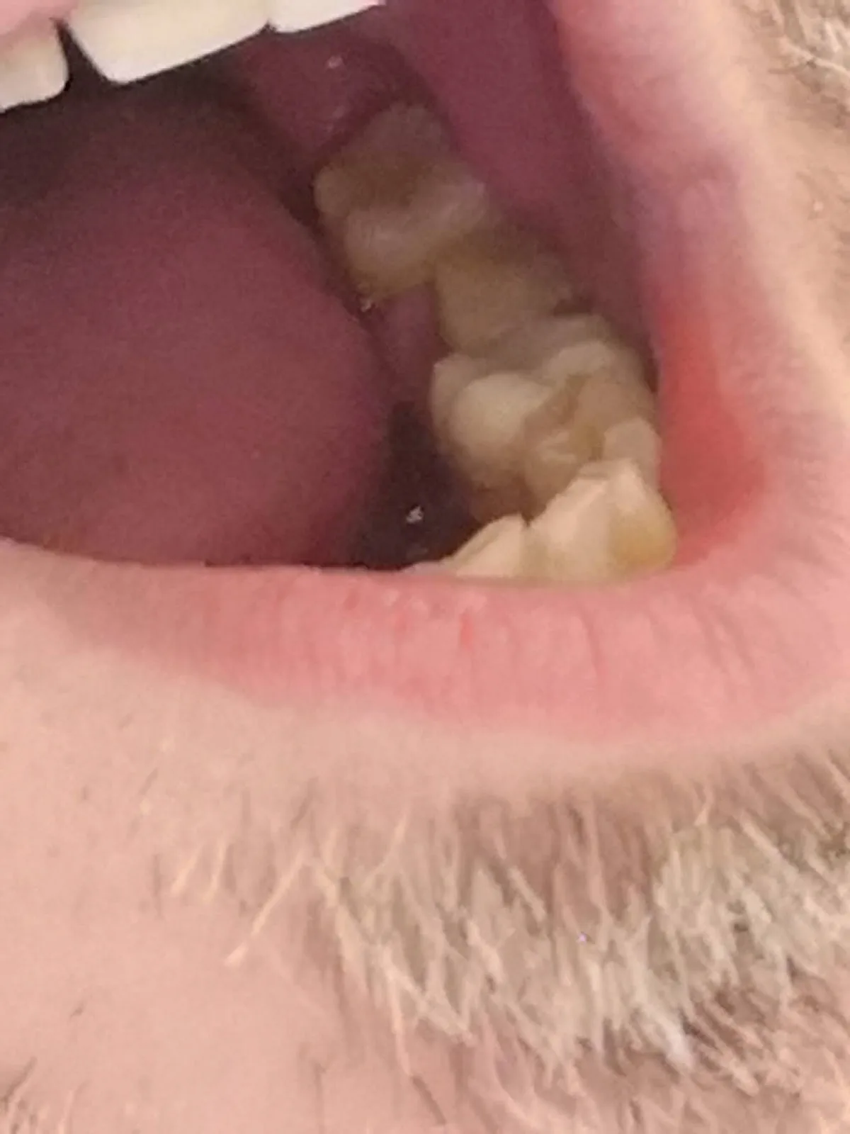 St. Mark Dental Surgery photo 3