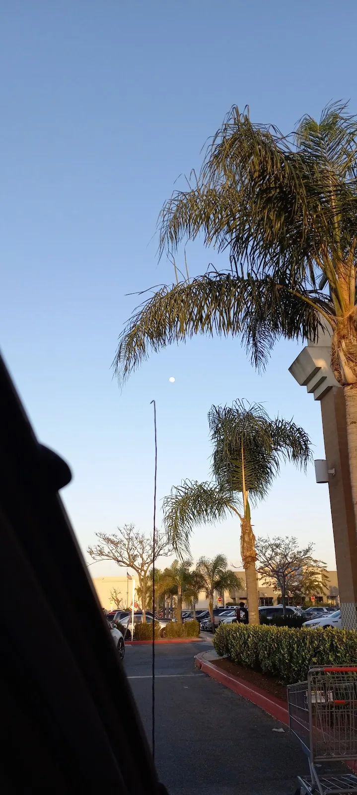 Top 10 Dental Implants in Santa Ana California